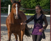2-13JUIN 0730